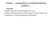 Krikščioniškasis požiūris skaidrės 2 puslapis