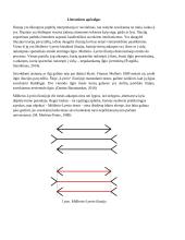 Miullerio-Lyerio iliuzijos tyrimas 2 puslapis