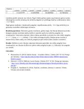 Miullerio-Lyerio iliuzijos tyrimas 5 puslapis