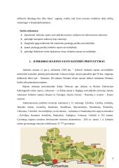 Jurbarko savivaldybės analizė turizmo struktūros atžvilgiu 4 puslapis
