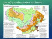 Glacigeninio reljefo formavimasis Rietave 11 puslapis