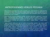 Glacigeninio reljefo formavimasis Rietave 18 puslapis