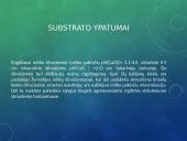 Glacigeninio reljefo formavimasis Rietave 19 puslapis