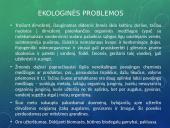 Glacigeninio reljefo formavimasis Rietave 20 puslapis