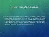 Glacigeninio reljefo formavimasis Rietave 9 puslapis