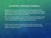 Glacigeninio reljefo formavimasis Rietave 10 puslapis