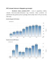 Lietuvos ir Singapūro ekonomikos palyginimas 3 puslapis