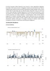 Lietuvos ir Singapūro ekonomikos palyginimas 10 puslapis