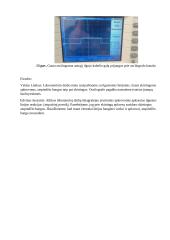 Ilgųjų linijų tyrimas laboratorinis darbas 7 puslapis