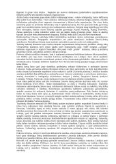 Tautinės mažumos Lietuvoje 1918-1940 9 puslapis