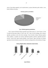 Turistų aptarnavimo kokybės problemos ir jų sprendimo būdai 13 puslapis
