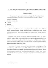 Turistų aptarnavimo kokybės problemos ir jų sprendimo būdai 10 puslapis