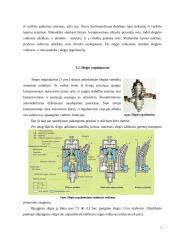 Pneumatinių stabdžių sistema 7 puslapis