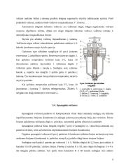 Pneumatinių stabdžių sistema 9 puslapis
