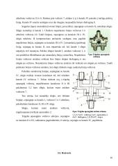 Pneumatinių stabdžių sistema 10 puslapis