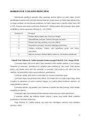 Įtikinimo galimybės kitai šaliai (oponentui, varžovui) derybų procese 8 puslapis