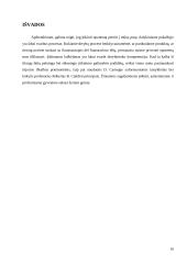 Įtikinimo galimybės kitai šaliai (oponentui, varžovui) derybų procese 10 puslapis