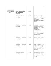 Kūno kultūros pamokos planas, krepšinis – konspektas 2 puslapis