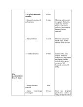 Kūno kultūros pamokos planas, krepšinis – konspektas 3 puslapis