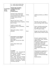 Kūno kultūros pamokos planas - konspektas 2 puslapis