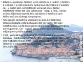 Jugoslavija 9 puslapis