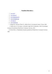 Žiniasklaidos įtaka korupcijos lygiui šalyje 11 puslapis