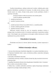 Žiniasklaidos įtaka korupcijos lygiui šalyje 6 puslapis