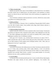 Procesai termiškai apdorojant vyną 4 puslapis