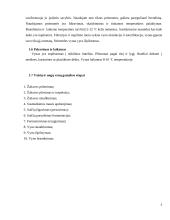 Procesai termiškai apdorojant vyną 5 puslapis