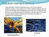 Lietuvos dailininkai 14 puslapis