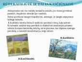 Lietuvos dailininkai 9 puslapis