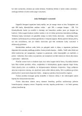 Fizinis aktyvumas vaikystėje 5 puslapis