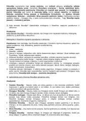 Filosofijos konspektas egzaminui 2 puslapis