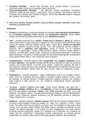 Filosofijos konspektas egzaminui 3 puslapis