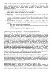 Filosofijos konspektas egzaminui 9 puslapis