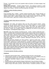 Filosofijos konspektas egzaminui 10 puslapis