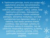 Mano klasės auklėtojas 7 puslapis