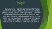 Genų terapija skaidrės 13 puslapis