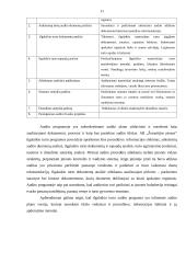 Ilgalaikio turto auditas AB "Žemaitijos pienas" 11 puslapis