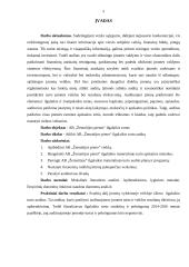 Ilgalaikio turto auditas AB "Žemaitijos pienas" 3 puslapis