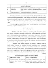 Ilgalaikio turto auditas AB "Žemaitijos pienas" 10 puslapis