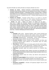 Filosofijos paruoštukė