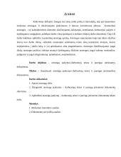 Atostogų rūšys 2 puslapis