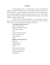 Atostogų rūšys 14 puslapis