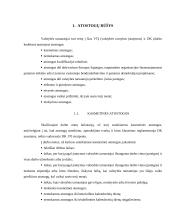 Atostogų rūšys 3 puslapis