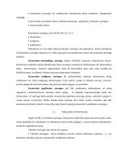 Atostogų rūšys 4 puslapis