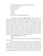 Atostogų rūšys 5 puslapis