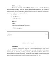 Atostogų rūšys 10 puslapis