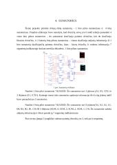 DviračIų nuomos punkto valdymo logika 8 puslapis