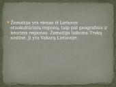 Žemaitija 2 puslapis